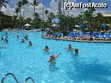 [P14] miscare 'dictata' de animatori in apa uneia dintre piscine » foto by hlli
 - 
<span class="allrVoted glyphicon glyphicon-heart hidden" id="av159367"></span>
<a class="m-l-10 hidden" id="sv159367" onclick="voting_Foto_DelVot(,159367,7944)" role="button">șterge vot <span class="glyphicon glyphicon-remove"></span></a>
<a id="v9159367" class=" c-red"  onclick="voting_Foto_SetVot(159367)" role="button"><span class="glyphicon glyphicon-heart-empty"></span> <b>LIKE</b> = Votează poza</a> <img class="hidden"  id="f159367W9" src="/imagini/loader.gif" border="0" /><span class="AjErrMes hidden" id="e159367ErM"></span>