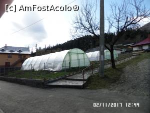 [P50] Legume și zarzavat pentru bucătăria mănăstirii » foto by Alina53
 - 
<span class="allrVoted glyphicon glyphicon-heart hidden" id="av940178"></span>
<a class="m-l-10 hidden" id="sv940178" onclick="voting_Foto_DelVot(,940178,7948)" role="button">șterge vot <span class="glyphicon glyphicon-remove"></span></a>
<a id="v9940178" class=" c-red"  onclick="voting_Foto_SetVot(940178)" role="button"><span class="glyphicon glyphicon-heart-empty"></span> <b>LIKE</b> = Votează poza</a> <img class="hidden"  id="f940178W9" src="/imagini/loader.gif" border="0" /><span class="AjErrMes hidden" id="e940178ErM"></span>