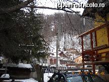 [P04] Curtea vilei » foto by fica*
 - 
<span class="allrVoted glyphicon glyphicon-heart hidden" id="av159498"></span>
<a class="m-l-10 hidden" id="sv159498" onclick="voting_Foto_DelVot(,159498,7951)" role="button">șterge vot <span class="glyphicon glyphicon-remove"></span></a>
<a id="v9159498" class=" c-red"  onclick="voting_Foto_SetVot(159498)" role="button"><span class="glyphicon glyphicon-heart-empty"></span> <b>LIKE</b> = Votează poza</a> <img class="hidden"  id="f159498W9" src="/imagini/loader.gif" border="0" /><span class="AjErrMes hidden" id="e159498ErM"></span>