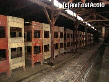 [P16] Birkenau - Paturi suprapese pe trei niveluri. » foto by popescu.borsa*
 - 
<span class="allrVoted glyphicon glyphicon-heart hidden" id="av160528"></span>
<a class="m-l-10 hidden" id="sv160528" onclick="voting_Foto_DelVot(,160528,7968)" role="button">șterge vot <span class="glyphicon glyphicon-remove"></span></a>
<a id="v9160528" class=" c-red"  onclick="voting_Foto_SetVot(160528)" role="button"><span class="glyphicon glyphicon-heart-empty"></span> <b>LIKE</b> = Votează poza</a> <img class="hidden"  id="f160528W9" src="/imagini/loader.gif" border="0" /><span class="AjErrMes hidden" id="e160528ErM"></span>