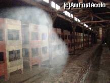[P17] Birkenau - Sunt nefumator. Cine poate explica? » foto by popescu.borsa*
 - 
<span class="allrVoted glyphicon glyphicon-heart hidden" id="av160529"></span>
<a class="m-l-10 hidden" id="sv160529" onclick="voting_Foto_DelVot(,160529,7968)" role="button">șterge vot <span class="glyphicon glyphicon-remove"></span></a>
<a id="v9160529" class=" c-red"  onclick="voting_Foto_SetVot(160529)" role="button"><span class="glyphicon glyphicon-heart-empty"></span> <b>LIKE</b> = Votează poza</a> <img class="hidden"  id="f160529W9" src="/imagini/loader.gif" border="0" /><span class="AjErrMes hidden" id="e160529ErM"></span>