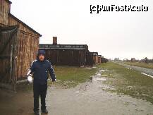[P18] Birkenau - Si in aceasta poza, apare o lumina inexplicabila. » foto by popescu.borsa*
 - 
<span class="allrVoted glyphicon glyphicon-heart hidden" id="av160530"></span>
<a class="m-l-10 hidden" id="sv160530" onclick="voting_Foto_DelVot(,160530,7968)" role="button">șterge vot <span class="glyphicon glyphicon-remove"></span></a>
<a id="v9160530" class=" c-red"  onclick="voting_Foto_SetVot(160530)" role="button"><span class="glyphicon glyphicon-heart-empty"></span> <b>LIKE</b> = Votează poza</a> <img class="hidden"  id="f160530W9" src="/imagini/loader.gif" border="0" /><span class="AjErrMes hidden" id="e160530ErM"></span>