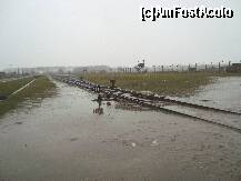 [P19] Birkenau - Cale ferata pe care veneau garniturile de tren, incarcate cu detinuti. » foto by popescu.borsa*
 - 
<span class="allrVoted glyphicon glyphicon-heart hidden" id="av160531"></span>
<a class="m-l-10 hidden" id="sv160531" onclick="voting_Foto_DelVot(,160531,7968)" role="button">șterge vot <span class="glyphicon glyphicon-remove"></span></a>
<a id="v9160531" class=" c-red"  onclick="voting_Foto_SetVot(160531)" role="button"><span class="glyphicon glyphicon-heart-empty"></span> <b>LIKE</b> = Votează poza</a> <img class="hidden"  id="f160531W9" src="/imagini/loader.gif" border="0" /><span class="AjErrMes hidden" id="e160531ErM"></span>