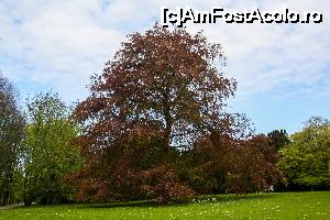 [P09] Un scurt popas in parc » foto by DOINITA
 - 
<span class="allrVoted glyphicon glyphicon-heart hidden" id="av631986"></span>
<a class="m-l-10 hidden" id="sv631986" onclick="voting_Foto_DelVot(,631986,7982)" role="button">șterge vot <span class="glyphicon glyphicon-remove"></span></a>
<a id="v9631986" class=" c-red"  onclick="voting_Foto_SetVot(631986)" role="button"><span class="glyphicon glyphicon-heart-empty"></span> <b>LIKE</b> = Votează poza</a> <img class="hidden"  id="f631986W9" src="/imagini/loader.gif" border="0" /><span class="AjErrMes hidden" id="e631986ErM"></span>