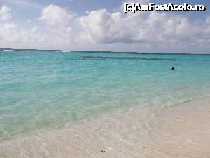 [P14] paradisul de pe insula Saona » foto by deeutza
 - 
<span class="allrVoted glyphicon glyphicon-heart hidden" id="av702459"></span>
<a class="m-l-10 hidden" id="sv702459" onclick="voting_Foto_DelVot(,702459,7983)" role="button">șterge vot <span class="glyphicon glyphicon-remove"></span></a>
<a id="v9702459" class=" c-red"  onclick="voting_Foto_SetVot(702459)" role="button"><span class="glyphicon glyphicon-heart-empty"></span> <b>LIKE</b> = Votează poza</a> <img class="hidden"  id="f702459W9" src="/imagini/loader.gif" border="0" /><span class="AjErrMes hidden" id="e702459ErM"></span>