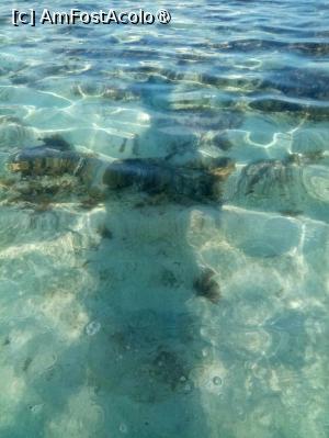 [P05] Nissi Beach » foto by Miri0822
 - 
<span class="allrVoted glyphicon glyphicon-heart hidden" id="av1394384"></span>
<a class="m-l-10 hidden" id="sv1394384" onclick="voting_Foto_DelVot(,1394384,7992)" role="button">șterge vot <span class="glyphicon glyphicon-remove"></span></a>
<a id="v91394384" class=" c-red"  onclick="voting_Foto_SetVot(1394384)" role="button"><span class="glyphicon glyphicon-heart-empty"></span> <b>LIKE</b> = Votează poza</a> <img class="hidden"  id="f1394384W9" src="/imagini/loader.gif" border="0" /><span class="AjErrMes hidden" id="e1394384ErM"></span>
