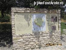 [P13]  -- <small>// FĂRĂ DESCRIERE</small> » foto by balasa violeta
 - 
<span class="allrVoted glyphicon glyphicon-heart hidden" id="av197448"></span>
<a class="m-l-10 hidden" id="sv197448" onclick="voting_Foto_DelVot(,197448,7992)" role="button">șterge vot <span class="glyphicon glyphicon-remove"></span></a>
<a id="v9197448" class=" c-red"  onclick="voting_Foto_SetVot(197448)" role="button"><span class="glyphicon glyphicon-heart-empty"></span> <b>LIKE</b> = Votează poza</a> <img class="hidden"  id="f197448W9" src="/imagini/loader.gif" border="0" /><span class="AjErrMes hidden" id="e197448ErM"></span>