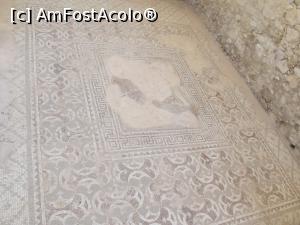 [P18] Cam atât a mai rămas din răpirea lui Ganymede » foto by irinad
 - 
<span class="allrVoted glyphicon glyphicon-heart hidden" id="av768189"></span>
<a class="m-l-10 hidden" id="sv768189" onclick="voting_Foto_DelVot(,768189,7992)" role="button">șterge vot <span class="glyphicon glyphicon-remove"></span></a>
<a id="v9768189" class=" c-red"  onclick="voting_Foto_SetVot(768189)" role="button"><span class="glyphicon glyphicon-heart-empty"></span> <b>LIKE</b> = Votează poza</a> <img class="hidden"  id="f768189W9" src="/imagini/loader.gif" border="0" /><span class="AjErrMes hidden" id="e768189ErM"></span>