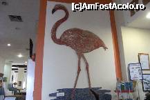 [P02] Un mozaic reprezentand pasarea Flamingo te intampina in holul hotelului » foto by Rodel
 - 
<span class="allrVoted glyphicon glyphicon-heart hidden" id="av323823"></span>
<a class="m-l-10 hidden" id="sv323823" onclick="voting_Foto_DelVot(,323823,7996)" role="button">șterge vot <span class="glyphicon glyphicon-remove"></span></a>
<a id="v9323823" class=" c-red"  onclick="voting_Foto_SetVot(323823)" role="button"><span class="glyphicon glyphicon-heart-empty"></span> <b>LIKE</b> = Votează poza</a> <img class="hidden"  id="f323823W9" src="/imagini/loader.gif" border="0" /><span class="AjErrMes hidden" id="e323823ErM"></span>