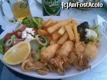 [P02] Calamari! » foto by rdavid
 - 
<span class="allrVoted glyphicon glyphicon-heart hidden" id="av212816"></span>
<a class="m-l-10 hidden" id="sv212816" onclick="voting_Foto_DelVot(,212816,7996)" role="button">șterge vot <span class="glyphicon glyphicon-remove"></span></a>
<a id="v9212816" class=" c-red"  onclick="voting_Foto_SetVot(212816)" role="button"><span class="glyphicon glyphicon-heart-empty"></span> <b>LIKE</b> = Votează poza</a> <img class="hidden"  id="f212816W9" src="/imagini/loader.gif" border="0" /><span class="AjErrMes hidden" id="e212816ErM"></span>