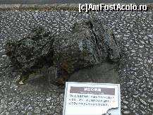 [P38] Cuie topite, dupa bombardamente. Tokunoyama Inari shrine.  » foto by TraianS
 - 
<span class="allrVoted glyphicon glyphicon-heart hidden" id="av491127"></span>
<a class="m-l-10 hidden" id="sv491127" onclick="voting_Foto_DelVot(,491127,7999)" role="button">șterge vot <span class="glyphicon glyphicon-remove"></span></a>
<a id="v9491127" class=" c-red"  onclick="voting_Foto_SetVot(491127)" role="button"><span class="glyphicon glyphicon-heart-empty"></span> <b>LIKE</b> = Votează poza</a> <img class="hidden"  id="f491127W9" src="/imagini/loader.gif" border="0" /><span class="AjErrMes hidden" id="e491127ErM"></span>