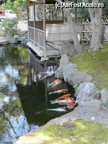 [P38] “Shinchi Toien” – Gradina Lacului Secret. Sanctuarul Yasukuni.  » foto by TraianS
 - 
<span class="allrVoted glyphicon glyphicon-heart hidden" id="av493470"></span>
<a class="m-l-10 hidden" id="sv493470" onclick="voting_Foto_DelVot(,493470,7999)" role="button">șterge vot <span class="glyphicon glyphicon-remove"></span></a>
<a id="v9493470" class=" c-red"  onclick="voting_Foto_SetVot(493470)" role="button"><span class="glyphicon glyphicon-heart-empty"></span> <b>LIKE</b> = Votează poza</a> <img class="hidden"  id="f493470W9" src="/imagini/loader.gif" border="0" /><span class="AjErrMes hidden" id="e493470ErM"></span>