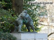 [P41] In spatele sanctuarului este si un ring de lupte sumo. Sanctuarul Yasukuni.  » foto by TraianS
 - 
<span class="allrVoted glyphicon glyphicon-heart hidden" id="av493473"></span>
<a class="m-l-10 hidden" id="sv493473" onclick="voting_Foto_DelVot(,493473,7999)" role="button">șterge vot <span class="glyphicon glyphicon-remove"></span></a>
<a id="v9493473" class=" c-red"  onclick="voting_Foto_SetVot(493473)" role="button"><span class="glyphicon glyphicon-heart-empty"></span> <b>LIKE</b> = Votează poza</a> <img class="hidden"  id="f493473W9" src="/imagini/loader.gif" border="0" /><span class="AjErrMes hidden" id="e493473ErM"></span>