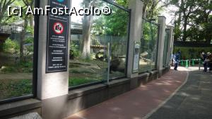 [P13] sediul ursilor Panda de la gradina zoologica » foto by grecudoina
 - 
<span class="allrVoted glyphicon glyphicon-heart hidden" id="av1200163"></span>
<a class="m-l-10 hidden" id="sv1200163" onclick="voting_Foto_DelVot(,1200163,7999)" role="button">șterge vot <span class="glyphicon glyphicon-remove"></span></a>
<a id="v91200163" class=" c-red"  onclick="voting_Foto_SetVot(1200163)" role="button"><span class="glyphicon glyphicon-heart-empty"></span> <b>LIKE</b> = Votează poza</a> <img class="hidden"  id="f1200163W9" src="/imagini/loader.gif" border="0" /><span class="AjErrMes hidden" id="e1200163ErM"></span>