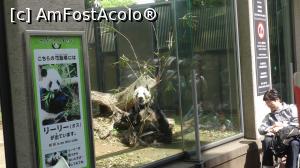 [P14] un Panda la odihna » foto by grecudoina
 - 
<span class="allrVoted glyphicon glyphicon-heart hidden" id="av1200164"></span>
<a class="m-l-10 hidden" id="sv1200164" onclick="voting_Foto_DelVot(,1200164,7999)" role="button">șterge vot <span class="glyphicon glyphicon-remove"></span></a>
<a id="v91200164" class=" c-red"  onclick="voting_Foto_SetVot(1200164)" role="button"><span class="glyphicon glyphicon-heart-empty"></span> <b>LIKE</b> = Votează poza</a> <img class="hidden"  id="f1200164W9" src="/imagini/loader.gif" border="0" /><span class="AjErrMes hidden" id="e1200164ErM"></span>