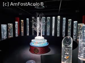 [P55] În lumea peștilor aurii, a muzicii și artei vizuale » foto by DOINITA
 - 
<span class="allrVoted glyphicon glyphicon-heart hidden" id="av1476695"></span>
<a class="m-l-10 hidden" id="sv1476695" onclick="voting_Foto_DelVot(,1476695,7999)" role="button">șterge vot <span class="glyphicon glyphicon-remove"></span></a>
<a id="v91476695" class=" c-red"  onclick="voting_Foto_SetVot(1476695)" role="button"><span class="glyphicon glyphicon-heart-empty"></span> <b>LIKE</b> = Votează poza</a> <img class="hidden"  id="f1476695W9" src="/imagini/loader.gif" border="0" /><span class="AjErrMes hidden" id="e1476695ErM"></span>