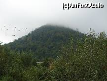 [P20] Comuna Vama, judetul Suceava - munceii din jurul Vamei » foto by valimi
 - 
<span class="allrVoted glyphicon glyphicon-heart hidden" id="av163423"></span>
<a class="m-l-10 hidden" id="sv163423" onclick="voting_Foto_DelVot(,163423,8005)" role="button">șterge vot <span class="glyphicon glyphicon-remove"></span></a>
<a id="v9163423" class=" c-red"  onclick="voting_Foto_SetVot(163423)" role="button"><span class="glyphicon glyphicon-heart-empty"></span> <b>LIKE</b> = Votează poza</a> <img class="hidden"  id="f163423W9" src="/imagini/loader.gif" border="0" /><span class="AjErrMes hidden" id="e163423ErM"></span>