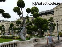 [P03]  -- <small>// FĂRĂ DESCRIERE</small> » foto by danadineata
 - 
<span class="allrVoted glyphicon glyphicon-heart hidden" id="av163324"></span>
<a class="m-l-10 hidden" id="sv163324" onclick="voting_Foto_DelVot(,163324,8007)" role="button">șterge vot <span class="glyphicon glyphicon-remove"></span></a>
<a id="v9163324" class=" c-red"  onclick="voting_Foto_SetVot(163324)" role="button"><span class="glyphicon glyphicon-heart-empty"></span> <b>LIKE</b> = Votează poza</a> <img class="hidden"  id="f163324W9" src="/imagini/loader.gif" border="0" /><span class="AjErrMes hidden" id="e163324ErM"></span>