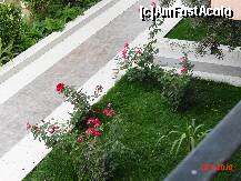 [P11] trandafiri pe alee. fotografie facuta de baiatul meu. » foto by cosminp
 - 
<span class="allrVoted glyphicon glyphicon-heart hidden" id="av163863"></span>
<a class="m-l-10 hidden" id="sv163863" onclick="voting_Foto_DelVot(,163863,8008)" role="button">șterge vot <span class="glyphicon glyphicon-remove"></span></a>
<a id="v9163863" class=" c-red"  onclick="voting_Foto_SetVot(163863)" role="button"><span class="glyphicon glyphicon-heart-empty"></span> <b>LIKE</b> = Votează poza</a> <img class="hidden"  id="f163863W9" src="/imagini/loader.gif" border="0" /><span class="AjErrMes hidden" id="e163863ErM"></span>