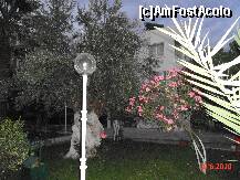 [P18] alt maslin batran si un leandru tanar » foto by cosminp
 - 
<span class="allrVoted glyphicon glyphicon-heart hidden" id="av163872"></span>
<a class="m-l-10 hidden" id="sv163872" onclick="voting_Foto_DelVot(,163872,8008)" role="button">șterge vot <span class="glyphicon glyphicon-remove"></span></a>
<a id="v9163872" class=" c-red"  onclick="voting_Foto_SetVot(163872)" role="button"><span class="glyphicon glyphicon-heart-empty"></span> <b>LIKE</b> = Votează poza</a> <img class="hidden"  id="f163872W9" src="/imagini/loader.gif" border="0" /><span class="AjErrMes hidden" id="e163872ErM"></span>
