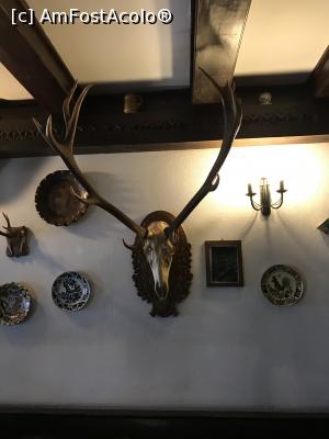 [P42] Trofeul doamnei » foto by krisstinna
 - 
<span class="allrVoted glyphicon glyphicon-heart hidden" id="av1131315"></span>
<a class="m-l-10 hidden" id="sv1131315" onclick="voting_Foto_DelVot(,1131315,8012)" role="button">șterge vot <span class="glyphicon glyphicon-remove"></span></a>
<a id="v91131315" class=" c-red"  onclick="voting_Foto_SetVot(1131315)" role="button"><span class="glyphicon glyphicon-heart-empty"></span> <b>LIKE</b> = Votează poza</a> <img class="hidden"  id="f1131315W9" src="/imagini/loader.gif" border="0" /><span class="AjErrMes hidden" id="e1131315ErM"></span>