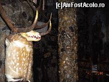 [P15] In interiorul Castelului Dracula » foto by Alina Morar
 - 
<span class="allrVoted glyphicon glyphicon-heart hidden" id="av163644"></span>
<a class="m-l-10 hidden" id="sv163644" onclick="voting_Foto_DelVot(,163644,8012)" role="button">șterge vot <span class="glyphicon glyphicon-remove"></span></a>
<a id="v9163644" class=" c-red"  onclick="voting_Foto_SetVot(163644)" role="button"><span class="glyphicon glyphicon-heart-empty"></span> <b>LIKE</b> = Votează poza</a> <img class="hidden"  id="f163644W9" src="/imagini/loader.gif" border="0" /><span class="AjErrMes hidden" id="e163644ErM"></span>