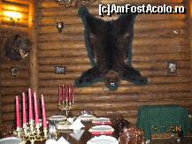 [P42]  -- <small>// FĂRĂ DESCRIERE</small> » foto by Alina Morar
 - 
<span class="allrVoted glyphicon glyphicon-heart hidden" id="av163677"></span>
<a class="m-l-10 hidden" id="sv163677" onclick="voting_Foto_DelVot(,163677,8012)" role="button">șterge vot <span class="glyphicon glyphicon-remove"></span></a>
<a id="v9163677" class=" c-red"  onclick="voting_Foto_SetVot(163677)" role="button"><span class="glyphicon glyphicon-heart-empty"></span> <b>LIKE</b> = Votează poza</a> <img class="hidden"  id="f163677W9" src="/imagini/loader.gif" border="0" /><span class="AjErrMes hidden" id="e163677ErM"></span>