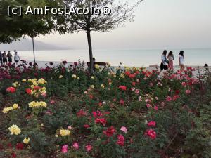 [P27] Lacul Ohrid in depărtare, la apus » foto by Marius 72
 - 
<span class="allrVoted glyphicon glyphicon-heart hidden" id="av1235080"></span>
<a class="m-l-10 hidden" id="sv1235080" onclick="voting_Foto_DelVot(,1235080,8016)" role="button">șterge vot <span class="glyphicon glyphicon-remove"></span></a>
<a id="v91235080" class=" c-red"  onclick="voting_Foto_SetVot(1235080)" role="button"><span class="glyphicon glyphicon-heart-empty"></span> <b>LIKE</b> = Votează poza</a> <img class="hidden"  id="f1235080W9" src="/imagini/loader.gif" border="0" /><span class="AjErrMes hidden" id="e1235080ErM"></span>