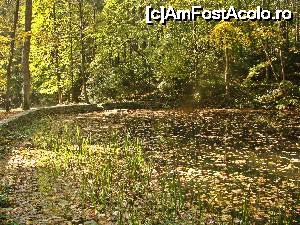 [P06] Lacul si parcul din spatele conacului » foto by Mina12
 - 
<span class="allrVoted glyphicon glyphicon-heart hidden" id="av700681"></span>
<a class="m-l-10 hidden" id="sv700681" onclick="voting_Foto_DelVot(,700681,8041)" role="button">șterge vot <span class="glyphicon glyphicon-remove"></span></a>
<a id="v9700681" class=" c-red"  onclick="voting_Foto_SetVot(700681)" role="button"><span class="glyphicon glyphicon-heart-empty"></span> <b>LIKE</b> = Votează poza</a> <img class="hidden"  id="f700681W9" src="/imagini/loader.gif" border="0" /><span class="AjErrMes hidden" id="e700681ErM"></span>
