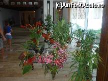 [P04] Hotel Scoica - Aranjamente florale in holul de la intrare. » foto by Horia
 - 
<span class="allrVoted glyphicon glyphicon-heart hidden" id="av164854"></span>
<a class="m-l-10 hidden" id="sv164854" onclick="voting_Foto_DelVot(,164854,8042)" role="button">șterge vot <span class="glyphicon glyphicon-remove"></span></a>
<a id="v9164854" class=" c-red"  onclick="voting_Foto_SetVot(164854)" role="button"><span class="glyphicon glyphicon-heart-empty"></span> <b>LIKE</b> = Votează poza</a> <img class="hidden"  id="f164854W9" src="/imagini/loader.gif" border="0" /><span class="AjErrMes hidden" id="e164854ErM"></span>