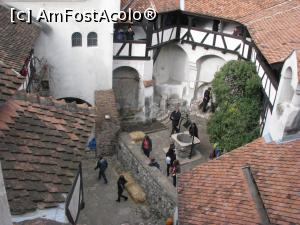 [P17] Castelul Bran - privind si in interior » foto by mishu
 - 
<span class="allrVoted glyphicon glyphicon-heart hidden" id="av801803"></span>
<a class="m-l-10 hidden" id="sv801803" onclick="voting_Foto_DelVot(,801803,8046)" role="button">șterge vot <span class="glyphicon glyphicon-remove"></span></a>
<a id="v9801803" class=" c-red"  onclick="voting_Foto_SetVot(801803)" role="button"><span class="glyphicon glyphicon-heart-empty"></span> <b>LIKE</b> = Votează poza</a> <img class="hidden"  id="f801803W9" src="/imagini/loader.gif" border="0" /><span class="AjErrMes hidden" id="e801803ErM"></span>