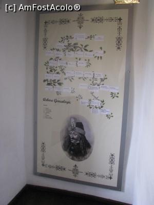 [P22] Castelul Bran - arbore genealogic » foto by mishu
 - 
<span class="allrVoted glyphicon glyphicon-heart hidden" id="av801808"></span>
<a class="m-l-10 hidden" id="sv801808" onclick="voting_Foto_DelVot(,801808,8046)" role="button">șterge vot <span class="glyphicon glyphicon-remove"></span></a>
<a id="v9801808" class=" c-red"  onclick="voting_Foto_SetVot(801808)" role="button"><span class="glyphicon glyphicon-heart-empty"></span> <b>LIKE</b> = Votează poza</a> <img class="hidden"  id="f801808W9" src="/imagini/loader.gif" border="0" /><span class="AjErrMes hidden" id="e801808ErM"></span>