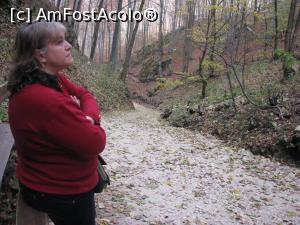 [P33] Pestera Valea Cetatii - pe unde sa o iau spre pestera, pe drum sau prin padure? » foto by mishu
 - 
<span class="allrVoted glyphicon glyphicon-heart hidden" id="av801819"></span>
<a class="m-l-10 hidden" id="sv801819" onclick="voting_Foto_DelVot(,801819,8046)" role="button">șterge vot <span class="glyphicon glyphicon-remove"></span></a>
<a id="v9801819" class=" c-red"  onclick="voting_Foto_SetVot(801819)" role="button"><span class="glyphicon glyphicon-heart-empty"></span> <b>LIKE</b> = Votează poza</a> <img class="hidden"  id="f801819W9" src="/imagini/loader.gif" border="0" /><span class="AjErrMes hidden" id="e801819ErM"></span>