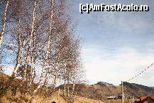 [P11] Cerul auriu al toamnei » foto by liviadavidescu
 - 
<span class="allrVoted glyphicon glyphicon-heart hidden" id="av165278"></span>
<a class="m-l-10 hidden" id="sv165278" onclick="voting_Foto_DelVot(,165278,8046)" role="button">șterge vot <span class="glyphicon glyphicon-remove"></span></a>
<a id="v9165278" class=" c-red"  onclick="voting_Foto_SetVot(165278)" role="button"><span class="glyphicon glyphicon-heart-empty"></span> <b>LIKE</b> = Votează poza</a> <img class="hidden"  id="f165278W9" src="/imagini/loader.gif" border="0" /><span class="AjErrMes hidden" id="e165278ErM"></span>