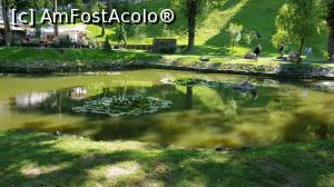 [P05] Parcul din curtea castelului » foto by zapacitu
 - 
<span class="allrVoted glyphicon glyphicon-heart hidden" id="av1098078"></span>
<a class="m-l-10 hidden" id="sv1098078" onclick="voting_Foto_DelVot(,1098078,8046)" role="button">șterge vot <span class="glyphicon glyphicon-remove"></span></a>
<a id="v91098078" class=" c-red"  onclick="voting_Foto_SetVot(1098078)" role="button"><span class="glyphicon glyphicon-heart-empty"></span> <b>LIKE</b> = Votează poza</a> <img class="hidden"  id="f1098078W9" src="/imagini/loader.gif" border="0" /><span class="AjErrMes hidden" id="e1098078ErM"></span>