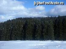 [P09] Hoinari prin Bran iarna....sus pe Bucegi » foto by magdalena
 - 
<span class="allrVoted glyphicon glyphicon-heart hidden" id="av291181"></span>
<a class="m-l-10 hidden" id="sv291181" onclick="voting_Foto_DelVot(,291181,8046)" role="button">șterge vot <span class="glyphicon glyphicon-remove"></span></a>
<a id="v9291181" class=" c-red"  onclick="voting_Foto_SetVot(291181)" role="button"><span class="glyphicon glyphicon-heart-empty"></span> <b>LIKE</b> = Votează poza</a> <img class="hidden"  id="f291181W9" src="/imagini/loader.gif" border="0" /><span class="AjErrMes hidden" id="e291181ErM"></span>