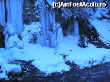 [P19] Mica cascada de gheata e o adevarata opera de arta » foto by dorgo
 - 
<span class="allrVoted glyphicon glyphicon-heart hidden" id="av172735"></span>
<a class="m-l-10 hidden" id="sv172735" onclick="voting_Foto_DelVot(,172735,8046)" role="button">șterge vot <span class="glyphicon glyphicon-remove"></span></a>
<a id="v9172735" class=" c-red"  onclick="voting_Foto_SetVot(172735)" role="button"><span class="glyphicon glyphicon-heart-empty"></span> <b>LIKE</b> = Votează poza</a> <img class="hidden"  id="f172735W9" src="/imagini/loader.gif" border="0" /><span class="AjErrMes hidden" id="e172735ErM"></span>