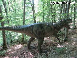 [P12] Vin dinozauriii!!! - Dino Parc Râșnov.  » foto by tata123 🔱
 - 
<span class="allrVoted glyphicon glyphicon-heart hidden" id="av668834"></span>
<a class="m-l-10 hidden" id="sv668834" onclick="voting_Foto_DelVot(,668834,8046)" role="button">șterge vot <span class="glyphicon glyphicon-remove"></span></a>
<a id="v9668834" class=" c-red"  onclick="voting_Foto_SetVot(668834)" role="button"><span class="glyphicon glyphicon-heart-empty"></span> <b>LIKE</b> = Votează poza</a> <img class="hidden"  id="f668834W9" src="/imagini/loader.gif" border="0" /><span class="AjErrMes hidden" id="e668834ErM"></span>