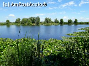 [P02] Taverna Marelui Paharnic Comana.Delta Neajlovului, o minune a naturii la doar 30 km. de Bucuresti. » foto by Floria
 - 
<span class="allrVoted glyphicon glyphicon-heart hidden" id="av1189634"></span>
<a class="m-l-10 hidden" id="sv1189634" onclick="voting_Foto_DelVot(,1189634,8050)" role="button">șterge vot <span class="glyphicon glyphicon-remove"></span></a>
<a id="v91189634" class=" c-red"  onclick="voting_Foto_SetVot(1189634)" role="button"><span class="glyphicon glyphicon-heart-empty"></span> <b>LIKE</b> = Votează poza</a> <img class="hidden"  id="f1189634W9" src="/imagini/loader.gif" border="0" /><span class="AjErrMes hidden" id="e1189634ErM"></span>