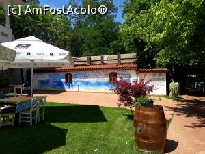 [P08] Taverna Marelui Paharnic Comana.O poveste alb-albastra,pictata pe zidul tavernei. » foto by Floria
 - 
<span class="allrVoted glyphicon glyphicon-heart hidden" id="av1189640"></span>
<a class="m-l-10 hidden" id="sv1189640" onclick="voting_Foto_DelVot(,1189640,8050)" role="button">șterge vot <span class="glyphicon glyphicon-remove"></span></a>
<a id="v91189640" class=" c-red"  onclick="voting_Foto_SetVot(1189640)" role="button"><span class="glyphicon glyphicon-heart-empty"></span> <b>LIKE</b> = Votează poza</a> <img class="hidden"  id="f1189640W9" src="/imagini/loader.gif" border="0" /><span class="AjErrMes hidden" id="e1189640ErM"></span>