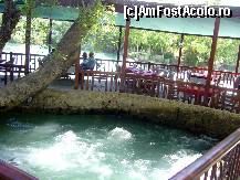 [P07] Antalya - terasa restaurantului de langa cascada Manavgat » foto by magdalena
 - 
<span class="allrVoted glyphicon glyphicon-heart hidden" id="av205096"></span>
<a class="m-l-10 hidden" id="sv205096" onclick="voting_Foto_DelVot(,205096,8053)" role="button">șterge vot <span class="glyphicon glyphicon-remove"></span></a>
<a id="v9205096" class=" c-red"  onclick="voting_Foto_SetVot(205096)" role="button"><span class="glyphicon glyphicon-heart-empty"></span> <b>LIKE</b> = Votează poza</a> <img class="hidden"  id="f205096W9" src="/imagini/loader.gif" border="0" /><span class="AjErrMes hidden" id="e205096ErM"></span>