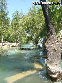 [P08] Antalya - Cascada Manavgat - raul Manavgat din spatele cascadei » foto by magdalena
 - 
<span class="allrVoted glyphicon glyphicon-heart hidden" id="av205098"></span>
<a class="m-l-10 hidden" id="sv205098" onclick="voting_Foto_DelVot(,205098,8053)" role="button">șterge vot <span class="glyphicon glyphicon-remove"></span></a>
<a id="v9205098" class=" c-red"  onclick="voting_Foto_SetVot(205098)" role="button"><span class="glyphicon glyphicon-heart-empty"></span> <b>LIKE</b> = Votează poza</a> <img class="hidden"  id="f205098W9" src="/imagini/loader.gif" border="0" /><span class="AjErrMes hidden" id="e205098ErM"></span>