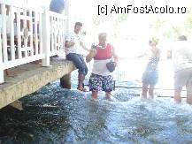 [P08] periculoasa meserie » foto by vio_andu_gaby
 - 
<span class="allrVoted glyphicon glyphicon-heart hidden" id="av234545"></span>
<a class="m-l-10 hidden" id="sv234545" onclick="voting_Foto_DelVot(,234545,8053)" role="button">șterge vot <span class="glyphicon glyphicon-remove"></span></a>
<a id="v9234545" class=" c-red"  onclick="voting_Foto_SetVot(234545)" role="button"><span class="glyphicon glyphicon-heart-empty"></span> <b>LIKE</b> = Votează poza</a> <img class="hidden"  id="f234545W9" src="/imagini/loader.gif" border="0" /><span class="AjErrMes hidden" id="e234545ErM"></span>