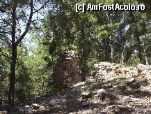 [P33] Pintenul care ne-a lasat sa intelegem ca cetatea era aproape de noi, desi atat de bine ascunsa » foto by irinad
 - 
<span class="allrVoted glyphicon glyphicon-heart hidden" id="av334704"></span>
<a class="m-l-10 hidden" id="sv334704" onclick="voting_Foto_DelVot(,334704,8053)" role="button">șterge vot <span class="glyphicon glyphicon-remove"></span></a>
<a id="v9334704" class=" c-red"  onclick="voting_Foto_SetVot(334704)" role="button"><span class="glyphicon glyphicon-heart-empty"></span> <b>LIKE</b> = Votează poza</a> <img class="hidden"  id="f334704W9" src="/imagini/loader.gif" border="0" /><span class="AjErrMes hidden" id="e334704ErM"></span>