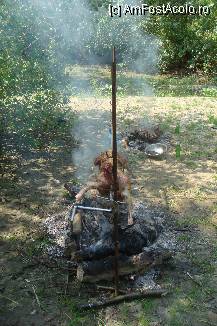 [P14] mancare multa..tipic romanului!! :)) » foto by guesswhoo*
 - 
<span class="allrVoted glyphicon glyphicon-heart hidden" id="av241523"></span>
<a class="m-l-10 hidden" id="sv241523" onclick="voting_Foto_DelVot(,241523,8054)" role="button">șterge vot <span class="glyphicon glyphicon-remove"></span></a>
<a id="v9241523" class=" c-red"  onclick="voting_Foto_SetVot(241523)" role="button"><span class="glyphicon glyphicon-heart-empty"></span> <b>LIKE</b> = Votează poza</a> <img class="hidden"  id="f241523W9" src="/imagini/loader.gif" border="0" /><span class="AjErrMes hidden" id="e241523ErM"></span>
