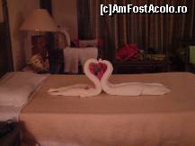 [P25] intr-o seara Abdullah ne-a facut o surpriza: lebade facute din 2 prosoape si petalii de flori » foto by kati
 - 
<span class="allrVoted glyphicon glyphicon-heart hidden" id="av166179"></span>
<a class="m-l-10 hidden" id="sv166179" onclick="voting_Foto_DelVot(,166179,8055)" role="button">șterge vot <span class="glyphicon glyphicon-remove"></span></a>
<a id="v9166179" class=" c-red"  onclick="voting_Foto_SetVot(166179)" role="button"><span class="glyphicon glyphicon-heart-empty"></span> <b>LIKE</b> = Votează poza</a> <img class="hidden"  id="f166179W9" src="/imagini/loader.gif" border="0" /><span class="AjErrMes hidden" id="e166179ErM"></span>