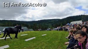 [P08] Ieșirea din ”scenă” a armăsarului de reproducție prezentat din linia Prislop sau Pietrosul (2).  » foto by Lucien
 - 
<span class="allrVoted glyphicon glyphicon-heart hidden" id="av837909"></span>
<a class="m-l-10 hidden" id="sv837909" onclick="voting_Foto_DelVot(,837909,8056)" role="button">șterge vot <span class="glyphicon glyphicon-remove"></span></a>
<a id="v9837909" class=" c-red"  onclick="voting_Foto_SetVot(837909)" role="button"><span class="glyphicon glyphicon-heart-empty"></span> <b>LIKE</b> = Votează poza</a> <img class="hidden"  id="f837909W9" src="/imagini/loader.gif" border="0" /><span class="AjErrMes hidden" id="e837909ErM"></span>