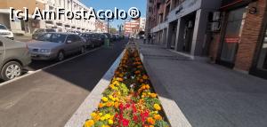 [P13] Parte din Promenada Crișan. » foto by Aurici
 - 
<span class="allrVoted glyphicon glyphicon-heart hidden" id="av1177440"></span>
<a class="m-l-10 hidden" id="sv1177440" onclick="voting_Foto_DelVot(,1177440,8064)" role="button">șterge vot <span class="glyphicon glyphicon-remove"></span></a>
<a id="v91177440" class=" c-red"  onclick="voting_Foto_SetVot(1177440)" role="button"><span class="glyphicon glyphicon-heart-empty"></span> <b>LIKE</b> = Votează poza</a> <img class="hidden"  id="f1177440W9" src="/imagini/loader.gif" border="0" /><span class="AjErrMes hidden" id="e1177440ErM"></span>