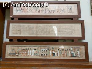 [P25] Alte papirusuri frumoase, foarte bine conservate. » foto by maryka
 - 
<span class="allrVoted glyphicon glyphicon-heart hidden" id="av1225084"></span>
<a class="m-l-10 hidden" id="sv1225084" onclick="voting_Foto_DelVot(,1225084,8066)" role="button">șterge vot <span class="glyphicon glyphicon-remove"></span></a>
<a id="v91225084" class=" c-red"  onclick="voting_Foto_SetVot(1225084)" role="button"><span class="glyphicon glyphicon-heart-empty"></span> <b>LIKE</b> = Votează poza</a> <img class="hidden"  id="f1225084W9" src="/imagini/loader.gif" border="0" /><span class="AjErrMes hidden" id="e1225084ErM"></span>