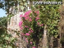 [P04] Zid vechi, casa deasupra, fori in abundenta » foto by kati
 - 
<span class="allrVoted glyphicon glyphicon-heart hidden" id="av166505"></span>
<a class="m-l-10 hidden" id="sv166505" onclick="voting_Foto_DelVot(,166505,8068)" role="button">șterge vot <span class="glyphicon glyphicon-remove"></span></a>
<a id="v9166505" class=" c-red"  onclick="voting_Foto_SetVot(166505)" role="button"><span class="glyphicon glyphicon-heart-empty"></span> <b>LIKE</b> = Votează poza</a> <img class="hidden"  id="f166505W9" src="/imagini/loader.gif" border="0" /><span class="AjErrMes hidden" id="e166505ErM"></span>